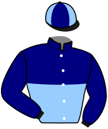 Casaque du n°3 — MAJOR DU BELVER