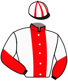 Casaque du n°3 — LUBIE DE LOIRON