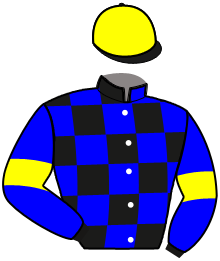 Casaque du n°11 — KALISCO DE GENNES