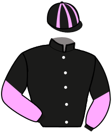 Casaque du n°15 — KING DE BOUTEAU