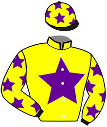Casaque du n°7 — HARISON DU PLESSIS