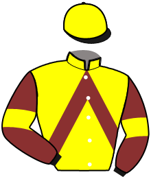 Casaque du n°1 — MUSTANG VENESI
