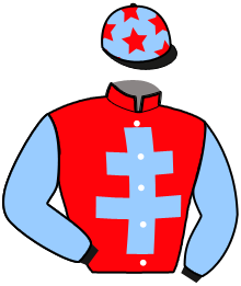 Casaque du n°13 — MARLAU DU FOREZ