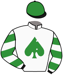 Casaque du n°9 — CARIBIAN HAVEN