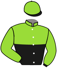 Casaque du n°12 — MALAGUENO