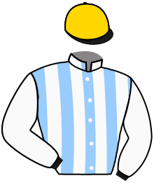 Casaque du n°7 — EL CONGO