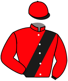 Casaque du n°9 — ASCOT QUEEN