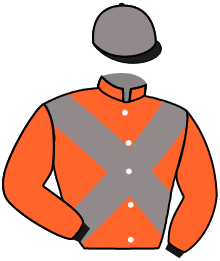 Casaque du n°2 — SHERIF DILLON