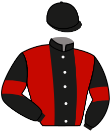 Casaque du n°9 — CABEZA BRANCA