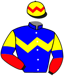 Casaque du n°10 — SMILING EMPEROR