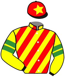 Casaque du n°11 — DRAGON SUNRISE