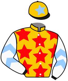 Casaque du n°13 — GOLD TACK