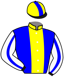 Casaque du n°2 — HAILTOTHEVICTORS
