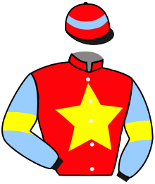 Casaque du n°9 — ZETTA FORCE