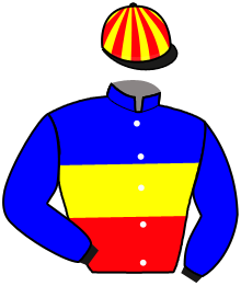 Casaque du n°1 — DERRYNBLUE