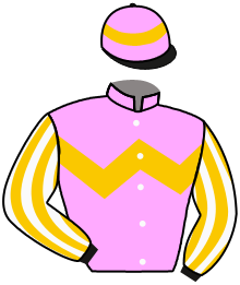 Casaque du n°11 — SPEEDY TRIDENT