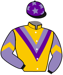 Casaque du n°13 — PHANTOM CYCLONE