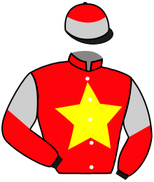 Casaque du n°14 — WAH MAY WAI WAI