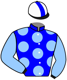 Casaque du n°3 — WIN SPEED