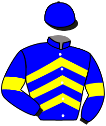 Casaque du n°5 — IRON LEGION