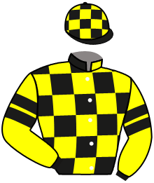 Casaque du n°8 — PRINCE ALEX