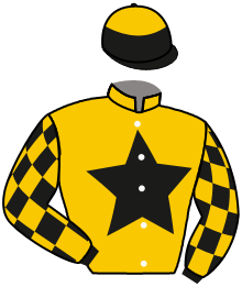 Casaque du n°1 — FLYING HUNTER