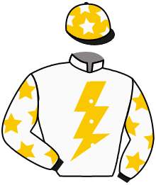 Casaque du n°2 — FLASH CURRENT