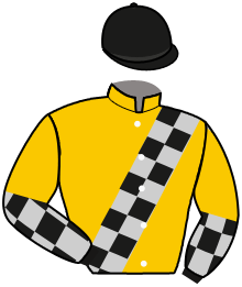 Casaque du n°4 — AETHELWIND