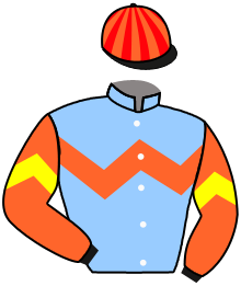 Casaque du n°9 — KA YING GLORY