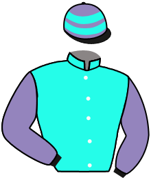 Casaque du n°1 — HAROLD WIN