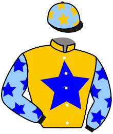 Casaque du n°10 — FORTUNE STAR