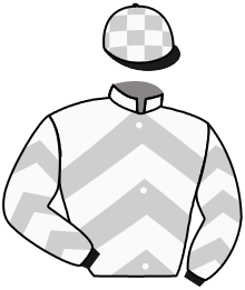 Casaque du n°2 — RISING PHOENIX