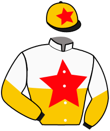 Casaque du n°5 — LUCKY MAN