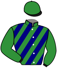 Casaque du n°11 — MARMOTTAN