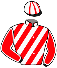 Casaque du n°6 — MIRAGE D'ERPION