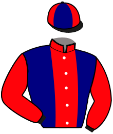 Casaque du n°11 — KALINE D'ARDENNES