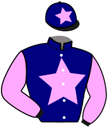 Casaque du n°15 — IRELAND TEAM