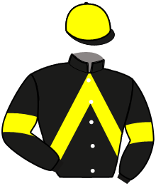 Casaque du n°12 — JAVERT