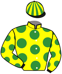 Casaque du n°3 — KANAYOU