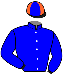 Casaque du n°9 — JOYAU DE MASSARA