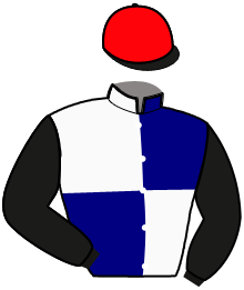 Casaque du n°16 — ISSU DE CORTEM