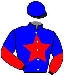 Casaque du n°3 — JALTO DU TREMONT