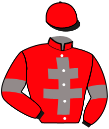 Casaque du n°6 — GAVROCHE DU GADE