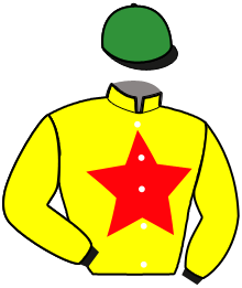 Casaque du n°4 — IMPEC DE BERTRANGE
