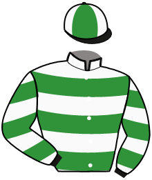 Casaque du n°2 — LATINA DU FER