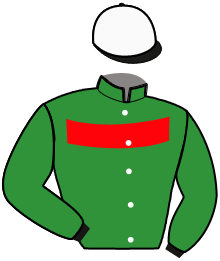 Casaque du n°2 — INTREPIDE TURGOT