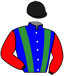 Casaque du n°9 — NARRATRICE