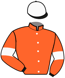Casaque du n°2 — LOUSTIC AMARLOUICA
