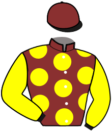 Casaque du n°10 — NESSY D'AR