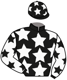 Casaque du n°13 — KING JULMA
